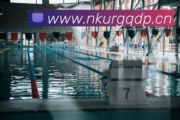 星空官方网页版平台生态图